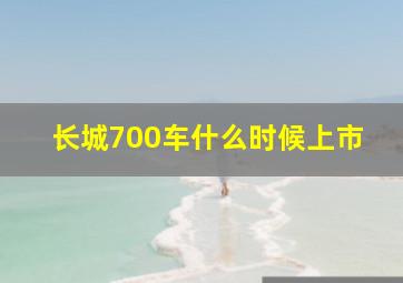 长城700车什么时候上市