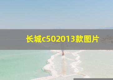 长城c502013款图片