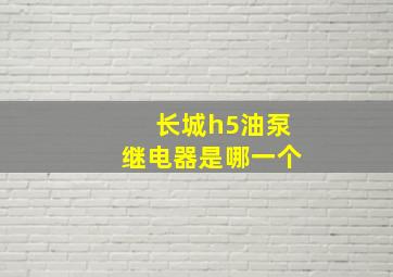 长城h5油泵继电器是哪一个