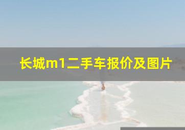 长城m1二手车报价及图片