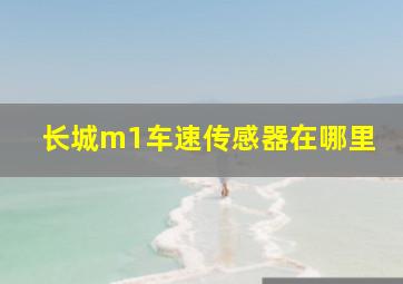 长城m1车速传感器在哪里