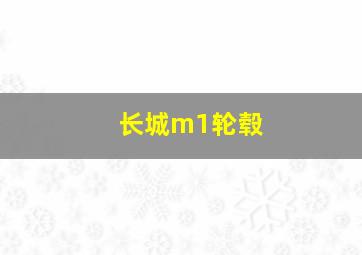 长城m1轮毂