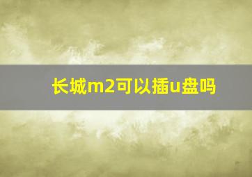 长城m2可以插u盘吗