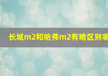 长城m2和哈弗m2有啥区别呢