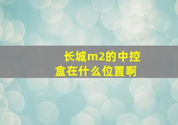 长城m2的中控盒在什么位置啊