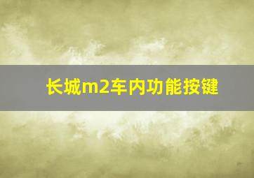 长城m2车内功能按键