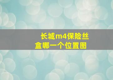 长城m4保险丝盒哪一个位置图