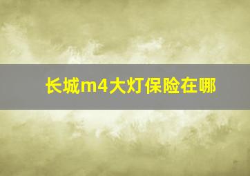 长城m4大灯保险在哪