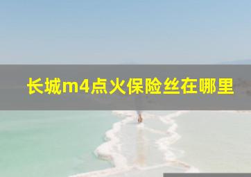 长城m4点火保险丝在哪里