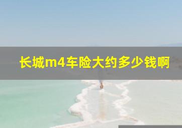 长城m4车险大约多少钱啊