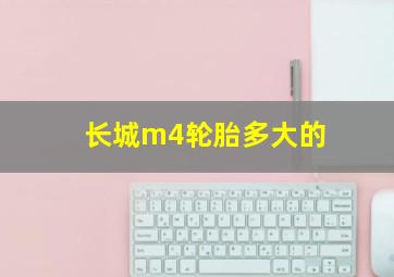 长城m4轮胎多大的