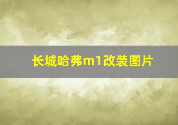 长城哈弗m1改装图片