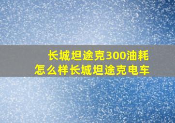 长城坦途克300油耗怎么样长城坦途克电车