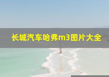 长城汽车哈弗m3图片大全