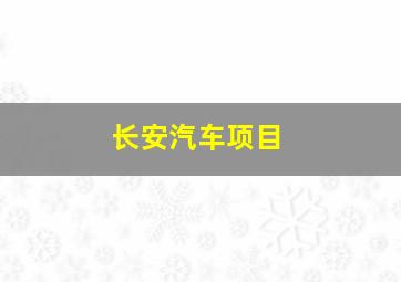 长安汽车项目