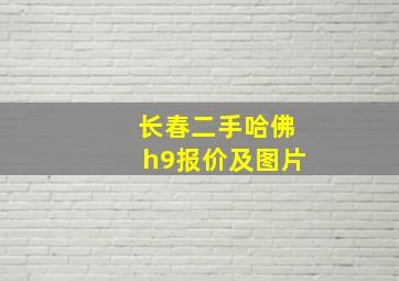 长春二手哈佛h9报价及图片