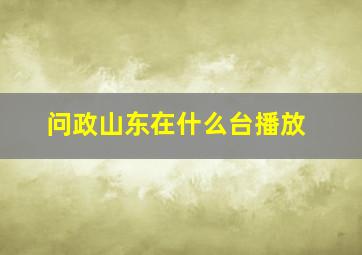 问政山东在什么台播放