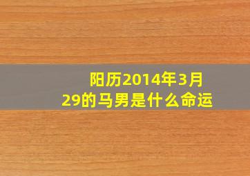 阳历2014年3月29的马男是什么命运