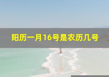 阳历一月16号是农历几号