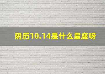 阴历10.14是什么星座呀