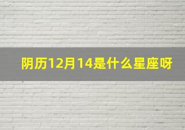 阴历12月14是什么星座呀