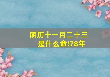 阴历十一月二十三是什么命!78年