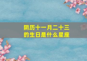 阴历十一月二十三的生日是什么星座