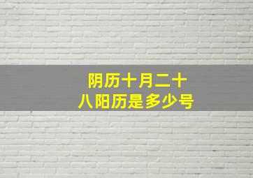 阴历十月二十八阳历是多少号