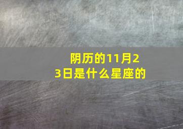 阴历的11月23日是什么星座的