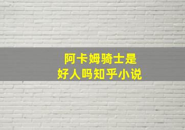 阿卡姆骑士是好人吗知乎小说