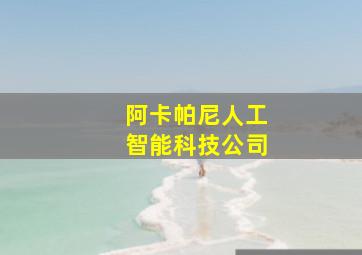 阿卡帕尼人工智能科技公司