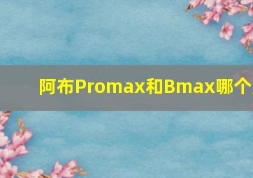 阿布Promax和Bmax哪个好