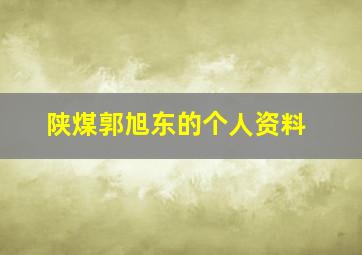 陕煤郭旭东的个人资料