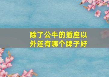 除了公牛的插座以外还有哪个牌子好