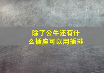 除了公牛还有什么插座可以用插排