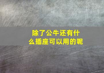 除了公牛还有什么插座可以用的呢