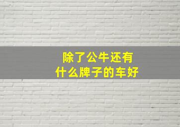 除了公牛还有什么牌子的车好