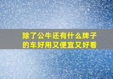 除了公牛还有什么牌子的车好用又便宜又好看