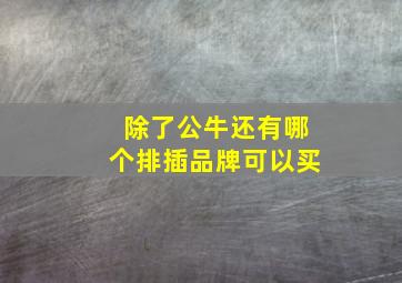 除了公牛还有哪个排插品牌可以买