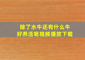 除了水牛还有什么牛好养活呢视频播放下载