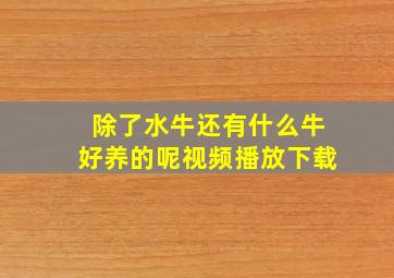 除了水牛还有什么牛好养的呢视频播放下载