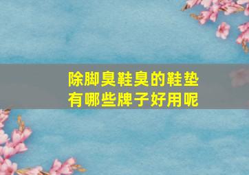 除脚臭鞋臭的鞋垫有哪些牌子好用呢