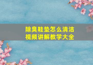 除臭鞋垫怎么清洁视频讲解教学大全