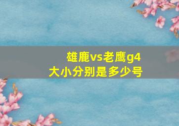 雄鹿vs老鹰g4大小分别是多少号