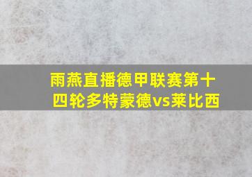 雨燕直播德甲联赛第十四轮多特蒙德vs莱比西