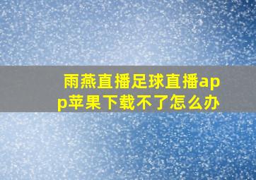 雨燕直播足球直播app苹果下载不了怎么办