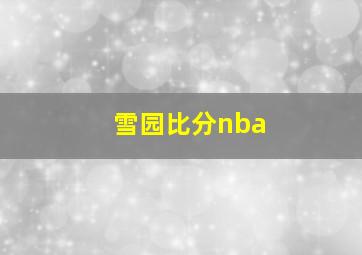 雪园比分nba