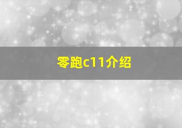 零跑c11介绍