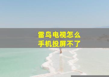 雷鸟电视怎么手机投屏不了