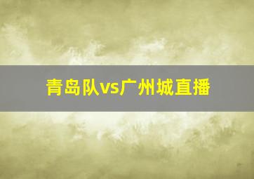 青岛队vs广州城直播